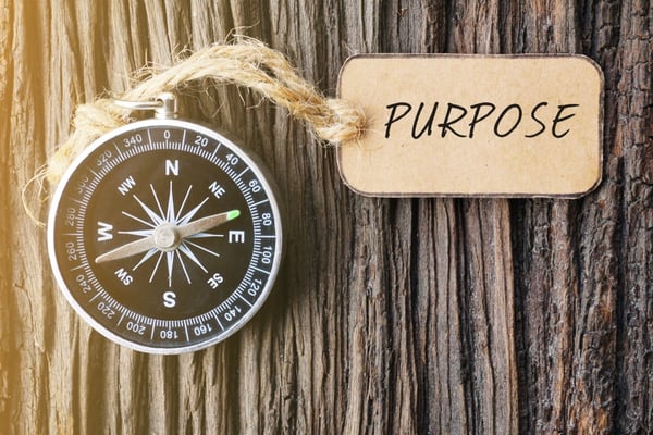 Zwischen Sinnsuche und Sicherheit: Wie viel Purpose verträgt der Job?
